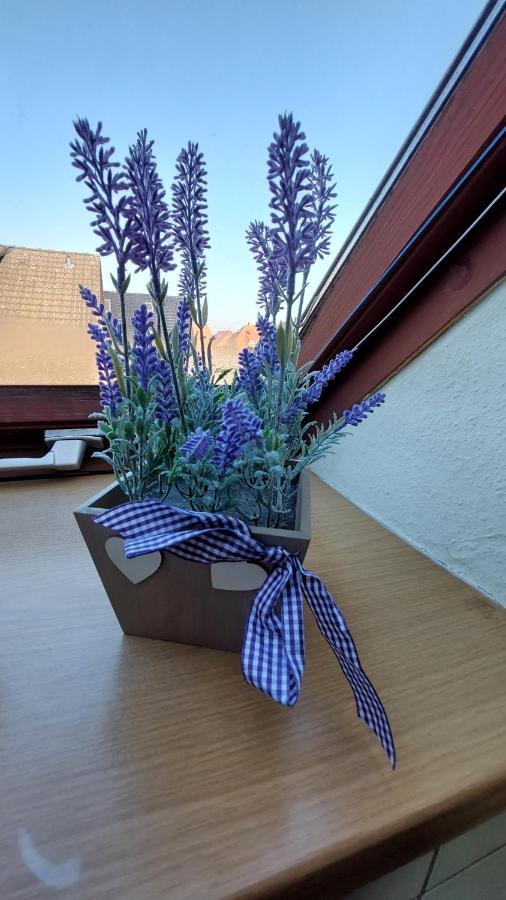 Ferienwohnung Weser Minden  Esterno foto